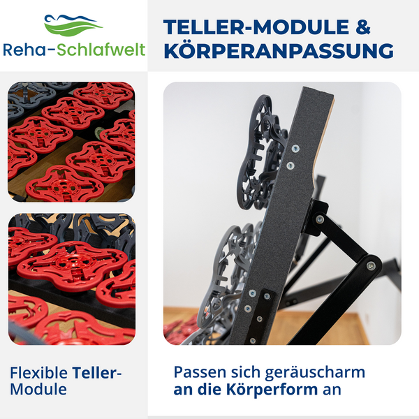Reha-Schlafwelt Tellerlattenrost AEROBALANCE KF mit Motor montiert